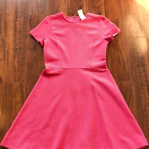 Pink Loft fit and flare loft dress
